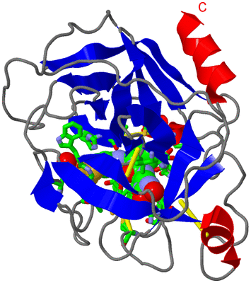 Image Asym./Biol. Unit - sites