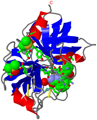 Image Asym./Biol. Unit - sites