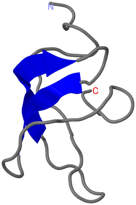 Image NMR Structure - model 1