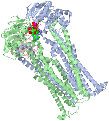 Image Asym./Biol. Unit - sites