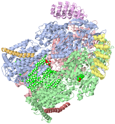 Image Asym./Biol. Unit