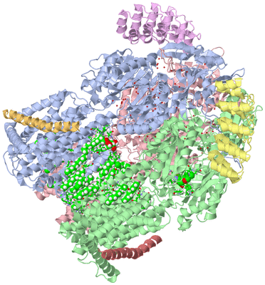 Image Asym./Biol. Unit - sites