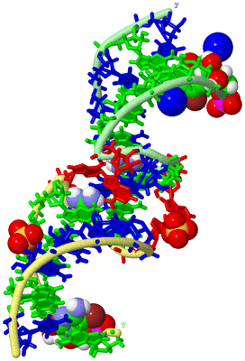 Image Biological Unit 2