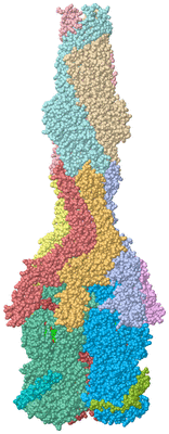 Image Asym./Biol. Unit - sites