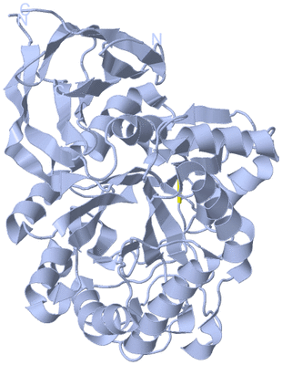 Image Biological Unit 1