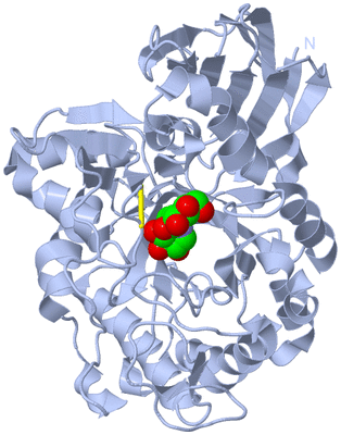 Image Biological Unit 1