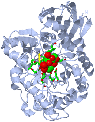 Image Biol. Unit 1 - sites