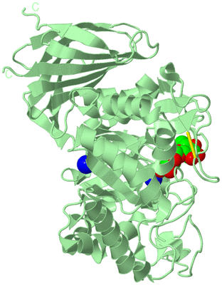 Image Biological Unit 2