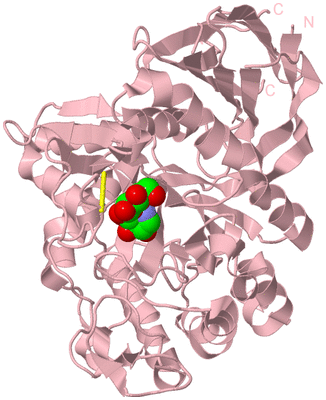 Image Biological Unit 3