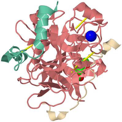 Image Biological Unit 1