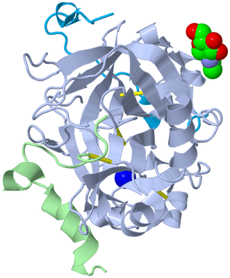 Image Biological Unit 2