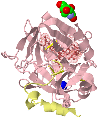 Image Biological Unit 3