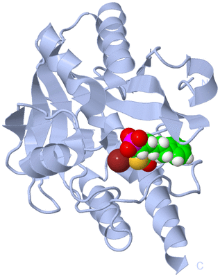 Image Biological Unit 1