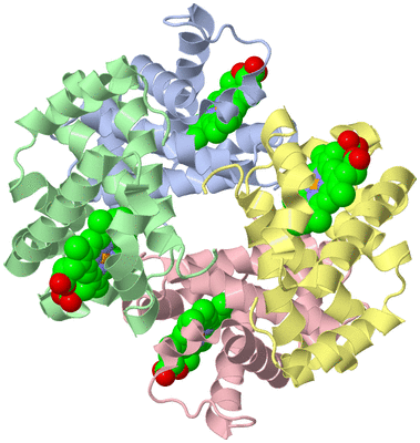 Image Asym./Biol. Unit