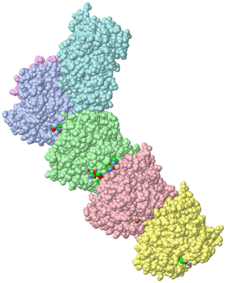 Image Asym./Biol. Unit - sites