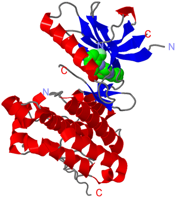 Image Asym./Biol. Unit