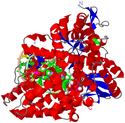 Image Asym./Biol. Unit