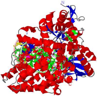 Image Asym./Biol. Unit - sites