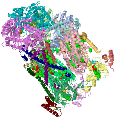 Image Asym./Biol. Unit