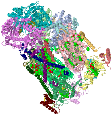 Image Asym./Biol. Unit - sites