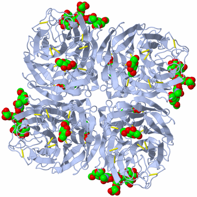 Image Biological Unit 1