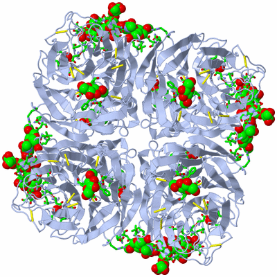 Image Biol. Unit 1 - sites