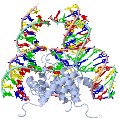 Image Biological Unit 1