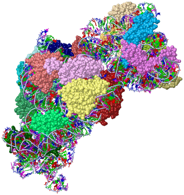 Image Asym./Biol. Unit