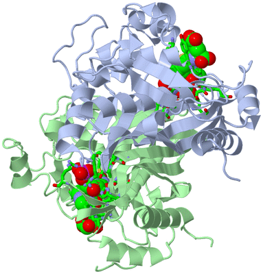 Image Biol. Unit 1 - sites