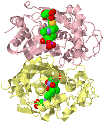 Image Biological Unit 2