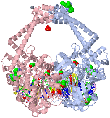 Image Biological Unit 2