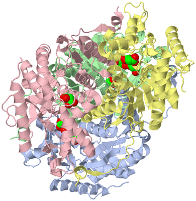 Image Asym./Biol. Unit