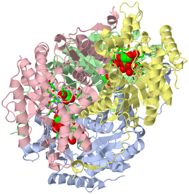 Image Asym./Biol. Unit - sites