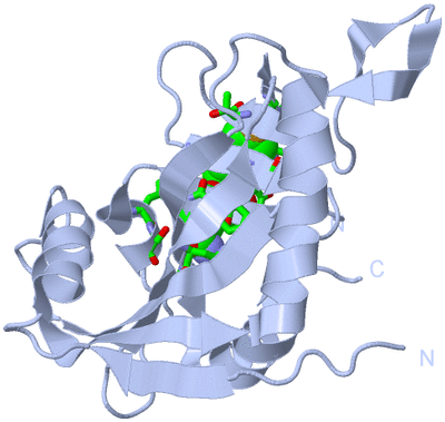 Image Biol. Unit 1 - sites