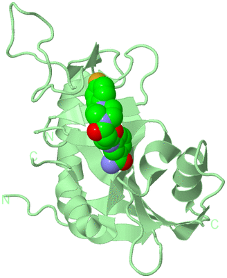 Image Biological Unit 2