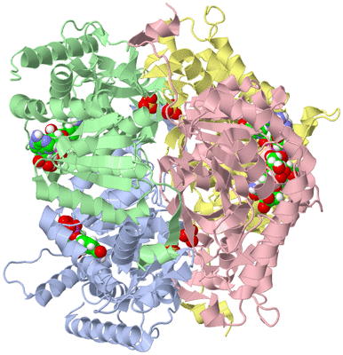 Image Asym./Biol. Unit