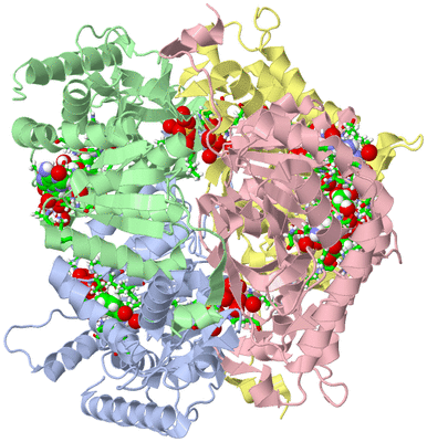 Image Asym./Biol. Unit - sites