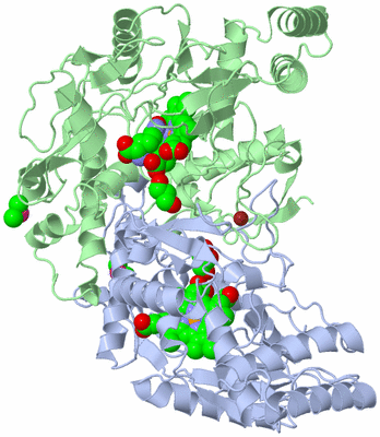 Image Asym./Biol. Unit