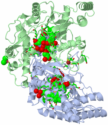 Image Asym./Biol. Unit - sites