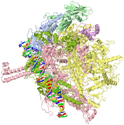 Image Asym./Biol. Unit