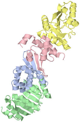 Image Asym./Biol. Unit