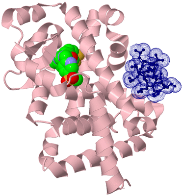 Image Biological Unit 3