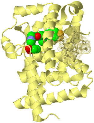 Image Biological Unit 4