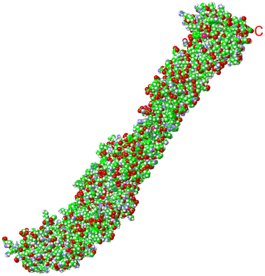 Image Asymmetric Unit