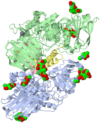 Image Asym./Biol. Unit