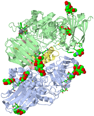 Image Asym./Biol. Unit - sites