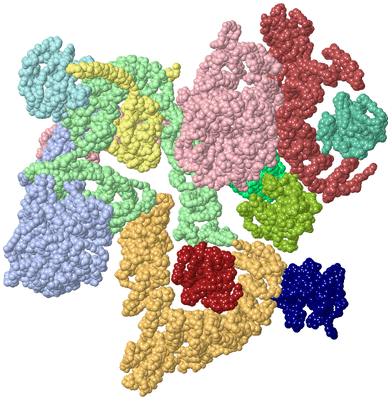 Image Asym./Biol. Unit