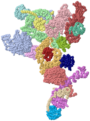 Image Biological Unit 1