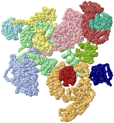 Image Biological Unit 1