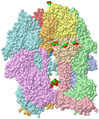 Image Biological Unit 1